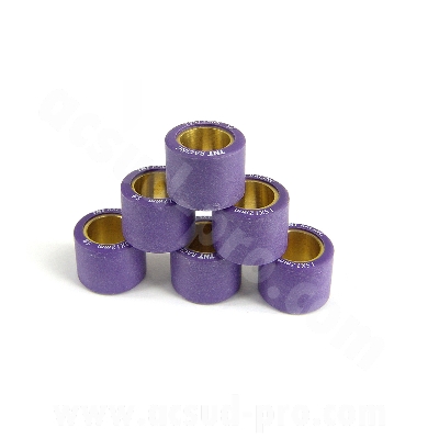 SET OF 6 WEIGHT ROLLER CARENZI   TO FIT MINA SCOOT 6,5G