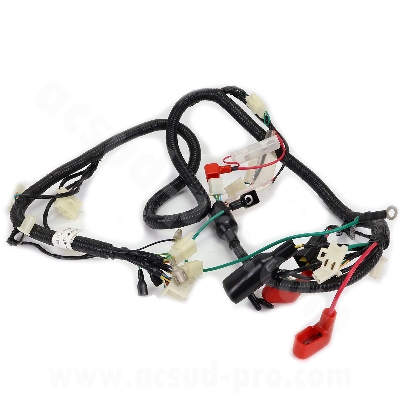 FAISCEAU ELECTRIQUE ROMA 4T (CARBURATEUR DELLORTO) EURO 4