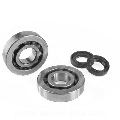 BEARING NTN (SCO4A47CS29)AND SEAL KIT TO FIT PIAGGIO ZIP / TYPHOON / NRG / GILERA STALKER / RUNNER