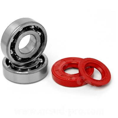 BEARING TPI ( 6204 TVH C4 ) AND SEAL KIT TO FIT YAMAHA BOOSTER / NITRO / OVETTO / STUNT / CPI