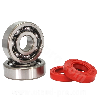 BEARING TPI (6303 TVH C4 ) AND SEAL KIT TO FIT AM6