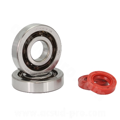 BEARING TPI (6204 TVH C4 )  AND SEAL KIT TO FIT PEUGEOT LUDIX / JET FORCE / SPEEDFIGHT 3