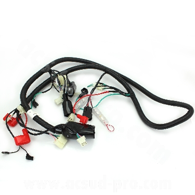 Porte-ampoule Phare Avant TNT Motor - Réf AC970444B - Compatible Boston 10/12 Pouces, Lazio, Andreo