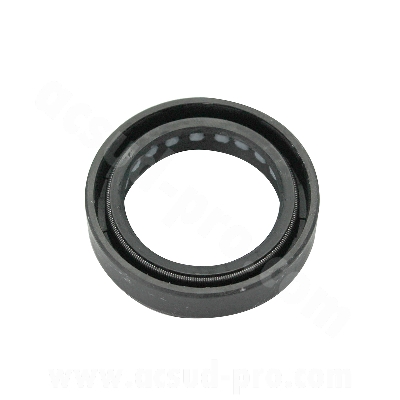 SPI FOURCHE 31X43X10.3