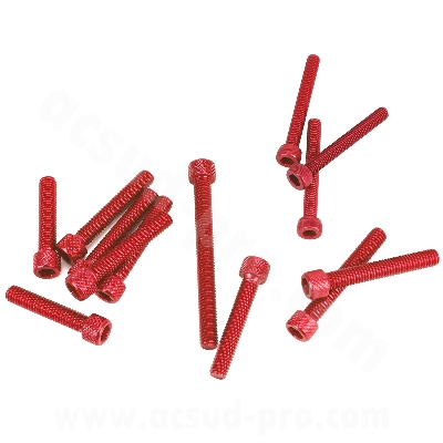 KIT VIS BTR CARTER EMBRAYAGE ROUGE ADAPT. MOTEUR DERBI EURO 3 / 4  ( VIS POMPE A EAU + POMPE A HUILE INCLUS ) 13PCS 
