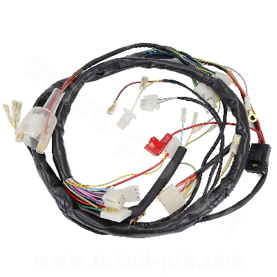 WIRING HARNESS ADAPT DERBI SENDA 50 2006-2010 ( DB50B0 ) GILERA SMT-RCR 2006-10 ( OEM : 00H01046301 )