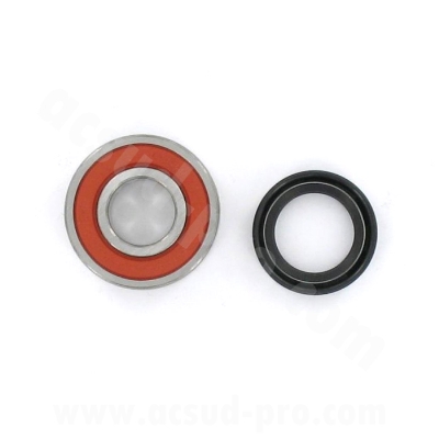 REAR WHEELS BEARING TPI  AND SEAL KIT TO FIT MBK 50 BOOSTER  / YAMAHA 50 BWS  ( 6203-2RS TPI )