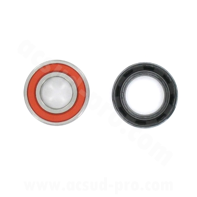WHEELS BEARING TPI  AND SEAL KIT TO FIT  PEUGEOT 50 TKR , LUDIX , SPEEDFIGHT AR ( 6004-2RS TPI )