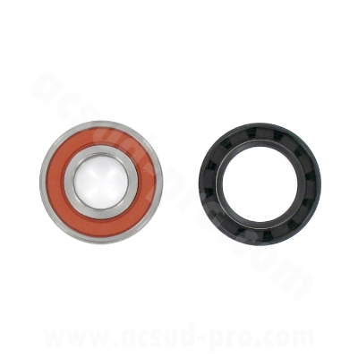 WHEELS BEARING TPI  AND SEAL KIT TO FIT  PIAGGIO 50 TYPHOON , NRG ( 6204 2RS TPI )