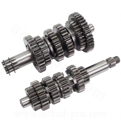 BOITE DE VITESSE COMPLETE TOP RACING ADAPT. MOTEUR MINARELLI AM6  V1 ET V2 (PRENDRE INFORMATIONS DANS DESCRIPTIF )