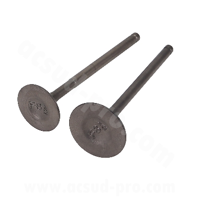 VALVULAS COMPLETA MAXISCOOTER SYM FIDDLE 3 / JET 14 / SYMPHONY ST 125-200CC E4 4TPS 125CC   (OEM : 14711-F8A-000 + 14721-F8A-000 )