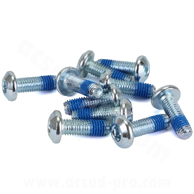 BRAKE DISC SCREW RB MAX ADAPT  YAMAHA TMAX 500-530-560CC / MAJESTY 400CC / MT09 / TRACER 900  ( OEM : 90111-08057 ) ( OEM : 90109-08232 ) X10PCS   
