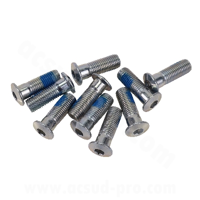 BRAKE DISC SCREW RB MAX ADAPT  MBK BOOSTER / ROCKET / STUNT / MACHG / NITRO / YAMAHA BWS / SPY / SLIDER / JOG R / AEROX    (OEM : 9011110X00) X10PCS