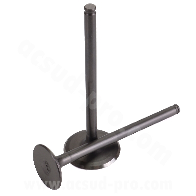 VALVES HEAD CYLINDER ORIGIN TO FIT PIAGGIO 125 FLY, LIBERTY, X8-STREET, VESPA LX, VESPA-S/APRILIA 125 MOJITO, SPORT-CITY (OEM  483706 + 483707 )