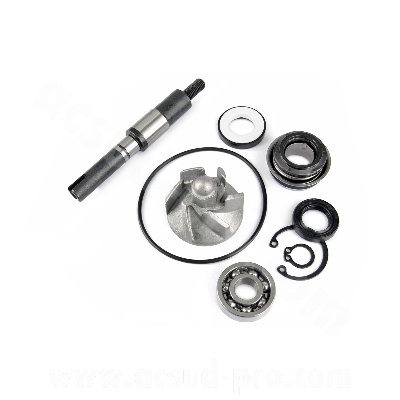 KIT REPARATION POMPE A EAU MAXISCOOTER ADAPT. HONDA SH / PANTHEON / DYLAN / SWING 125 / 150