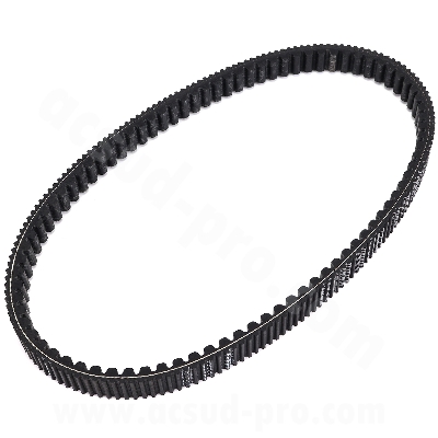 CINGHIA   SCOOTER BANDO HONDA 125 FORZA 2021> (977 x 25,9 x 14,6 x 26°) -BANDO S05-046    