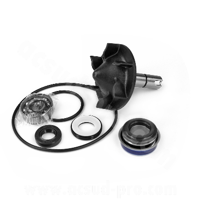 KIT REPARATION POMPE A EAU MAXISCOOTER ADAPT. YAMAHA TMAX 530cc 2012-2016