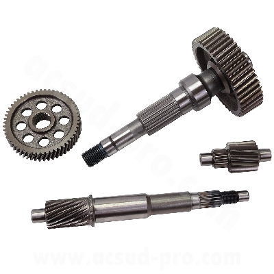 COMPLETE TRANSMISSION KIT ADAPT. HONDA SH 125-150CC 2020-2024    