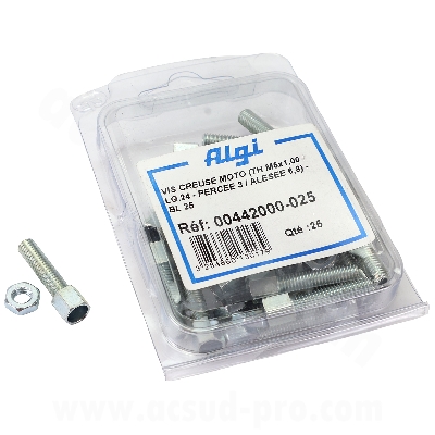 BOLT FOR MOTO D.6X100